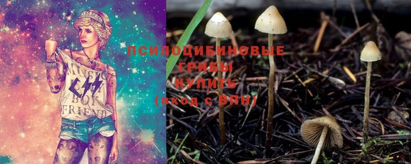 амфетамин Алексеевка